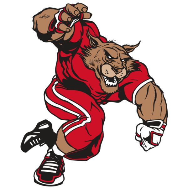 AR WILDCAT 32 RC Thumbnail